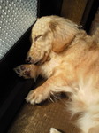 200902211337000.jpg