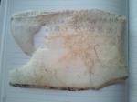 201008141529000.jpg