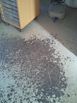201101081421000.jpg