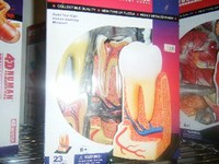 DSCF7175_ed.jpg